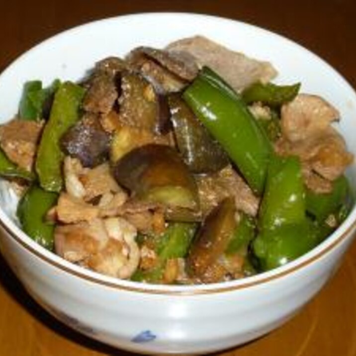 子供のリクエスト、肉野菜炒め丼